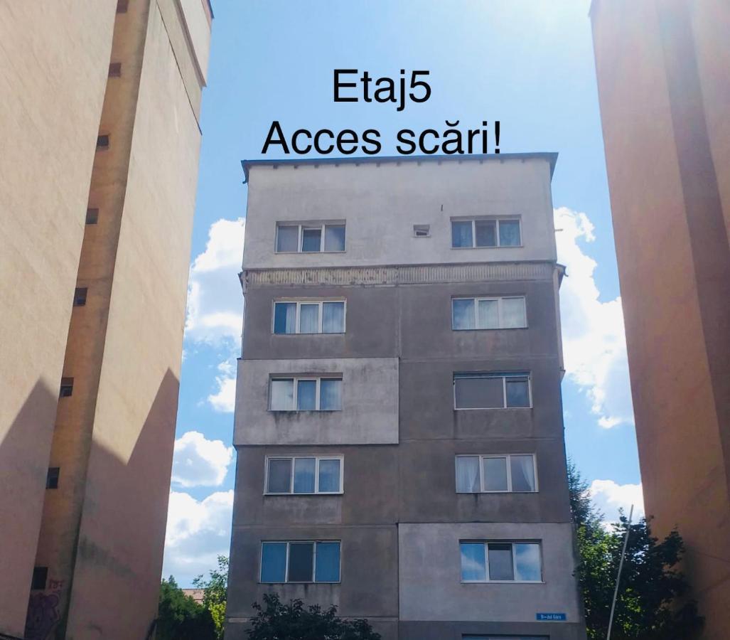 Zizi's House Garii דירה בראשוב